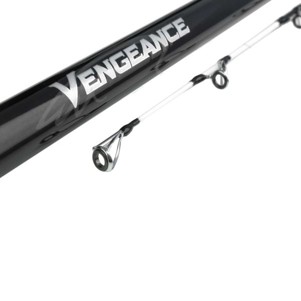 Shimano Vengeance 425BX Solid Tip Seaguide 4.25m до 225g 2266.31.25 фото