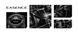 Катушка Shimano Exsence C3000MHG 6.0:1 2266.41.32 фото 4